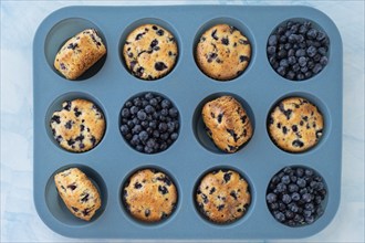 Berry pie in silicone muffin tin. Healthy vegan cupcakes with organic berries. Fresh baked