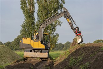 Agriculture shredded corn silage with an excavator in the Netherlands