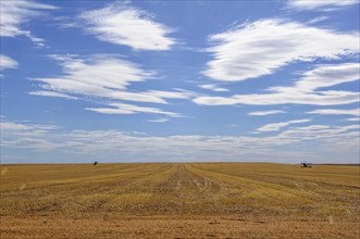 Blue sky with clouds over arable land after harvest near Sea Lake, Victoria, Australia, Oceania