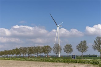 Lelystad, Netherlands, May 07, 2022: Windmill, row of trees polder and road