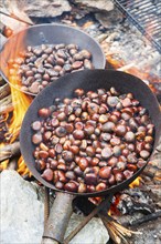 Baking pans with chestnut typical of high heat