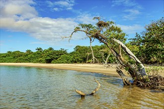 Deserted and wild beach in Serra Grande on the south coast of the state of Bahia