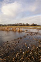 The former Schokland Island in the Dutch Noordoostpolder has been placed on the UNESCO World