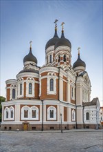 Alexander Nevsky Cathedral is an orthodox cathedral in the Tallinn Old Town, Estonia, Europe