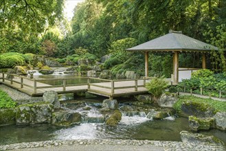 Wooden gazebo and a small waterfall in the Japanese garden in the botanical garden in Augsburg.