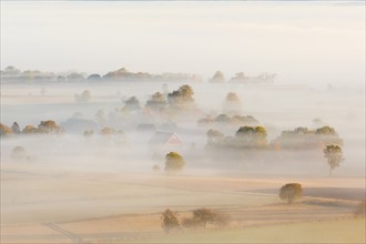 Morning fog over the fields in the countryside