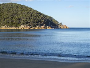 Crystal clear blue water at Refuge Cove, Wilsons Promontory, Victoria, Australia, Oceania