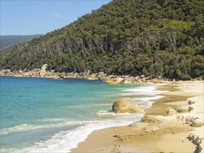 Another beautiful sandy beach at North Waterloo Bay, Wilsons Promontory, Victoria, Australia,