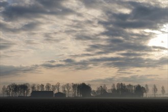 Nature along the A6 highway near the Dutch town Emmeloord