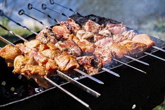 Meat is fried on coals. Camping, barbecue on the grill. Selective focus. Fried meat on charcoal BBQ