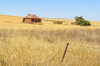 Abandoned farmhouse, SA, Australia, Oceania