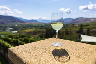 A Canadian glass of white wine on building top selective focus view against vineyard background,