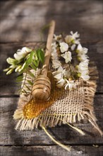 Presentation of small wooden spoon with acacia honey with its flower