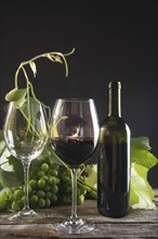 Glass of red wine with bottle and bunch of sour grapes on a black background