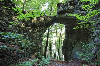 The rock castle near Emmendorf is a naturally formed natural stone arch. The rock formation was