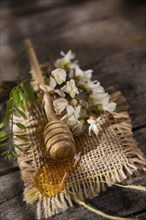 Presentation of small wooden spoon with acacia honey with its flower