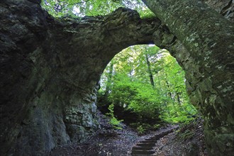 The rock castle near Emmendorf is a naturally formed natural stone arch. The rock formation was