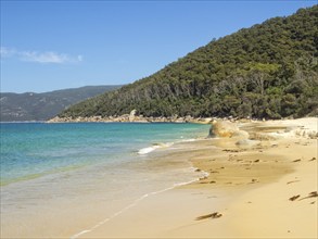 Another beautiful sandy beach at North Waterloo Bay, Wilsons Promontory, Victoria, Australia,