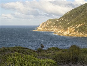 Morning sunshine West off the Lighthouse, Wilsons Promontory, Victoria, Australia, Oceania