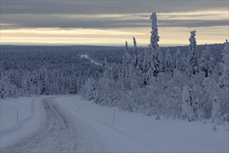 Snow-covered road 955 on the way to Kittilä in winter, Lapland, Finland, Europe