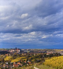 Meißener Scherenschnitt