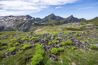 Mountain landscape with rocky peaks and lakes, hiking trail to Munkebu hut, Moskenesøya, Lofoten,