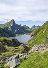 Lake Tennesvatnet and mountain landscape with rocky pointed peaks, Hermannsdalstinden mountain in