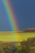 Rainbow on the outskirts of Dresden, the changeable weather already brings the harbingers of April,