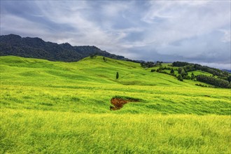 Okoroire, New Zealand, Oceania