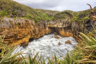 Pancake Rocks, Paparoa National Park, New Zealand, Oceania