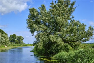 Picturesque river landscape, view from the heritage-protected wooden bascule bridge over the Trebel