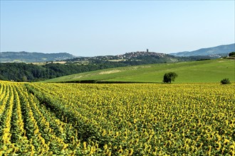 Village of Montpeyroux labelled Les Plus Beaux Villages de France, Puy de Dome,