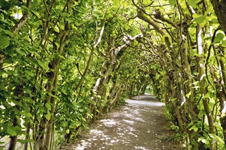 Bergpark Wilhelmshöhe, UNESCO World Heritage Site, Kassel, Hesse, Germany, Europe