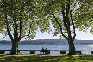 The Mettnaupark with the Istres promenade on the shore of Lake Constance, on the horizon the Höri