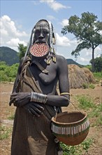 Close-up of a Mursi tribal woman with large clay plate in pierced lower lip, Omo Valley, Ethiopia,