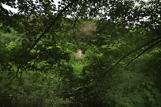 Forest damage in the Sauerland region has caused about 40 % of the spruce stand, especially in