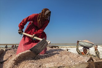 SAMBHAR, INDIA, NOVEMBER 19, 2012: Women mining salt at lake Sambhar, Rajasthan, India. Sambhar