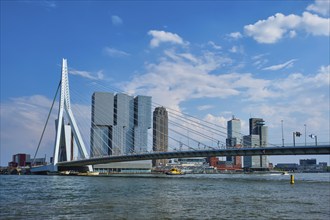 ROTTERDAM, THE NETHERLANDS, MAY 11, 2017: View of Rotterdam sityscape with Erasmusbrug bridge over