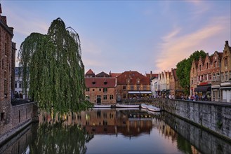 Bruges Rozenhoedkaai old houses along canal with tree in the evening. Famous place of Brugge,