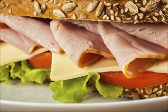 Ham sandwich with lettuce, cheese, tomato close up