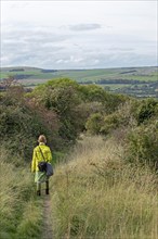 Woman, footpath near Upper Beeding, South Downs, West Sussex, England, Great Britain