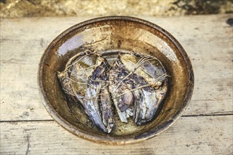 Grilled lamb heads, La Lastra del Cano, Sierra de Gredos, Ávila, Castilla y León, Spain, Europe