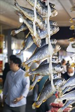 Dried fish on a conveyor belt, Gwangjang market, traditional street market in Jongno-gu, Seoul,