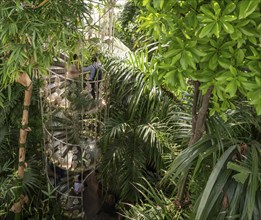 Cast-iron spiral staircase, Palm House, oldest Victorian greenhouse in the world, Royal Botanic