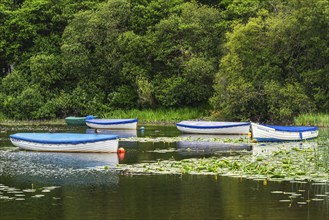 Boats in Balmaha, Loch Lamond, Scotland, UK