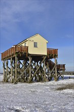 Pile dwellings in St. Peter-Ording, Schleswig-Holstein, Germany, Europe