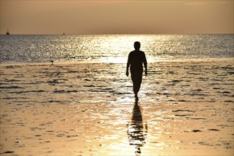 Woman walking on the mudflats at sunset, Schleswig-Holstein, Germany, Europe