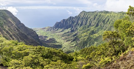 Kalalau Valley, Koke?e State Park, Na Pali Coast, Kauai, Hawaii, USA, North America