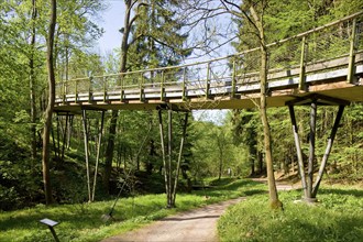 Tharandt Forest Botanical Garden of the TU Dresden, Zeisiggrundbrücke