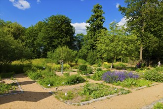 Königshain Castle Park